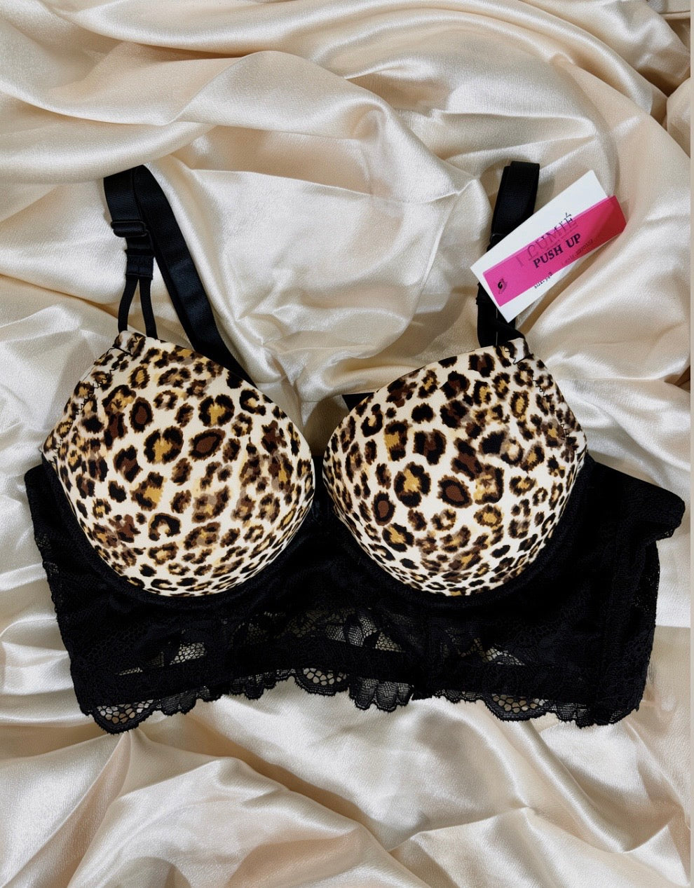Leo Brasier Push Up